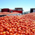 Un operario resulta herido al caer de la plataforma de un camión cuando descargaba fruta en Poio (Pontevedra).