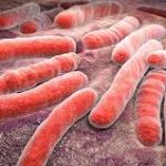 La bacteria de la tuberculosis causó 1,5 millones de muertos en 2018.