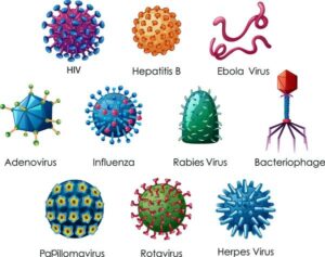 Diferentes virus y bacterias.